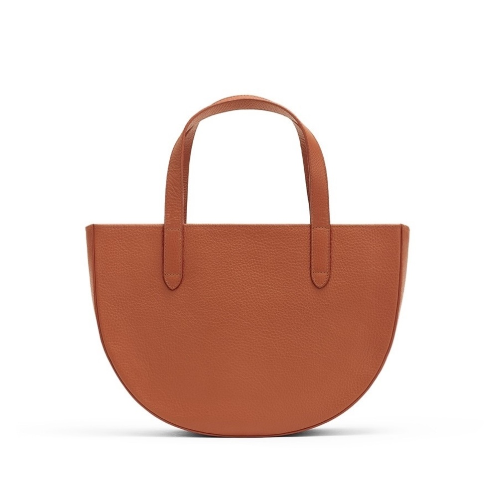 Cuyana Semi Circle Bag